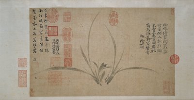 Orchidea da Zheng Sixiao